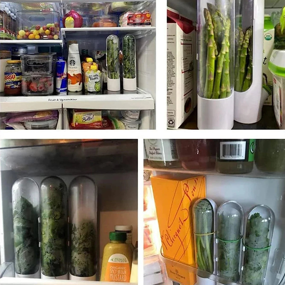 Fresh Herb Keeper – Refrigerator Herb Storage Container